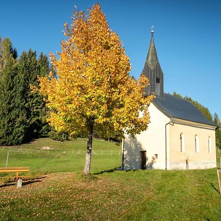 Hauserhof Am Goldberg Dellach  Εξωτερικό φωτογραφία