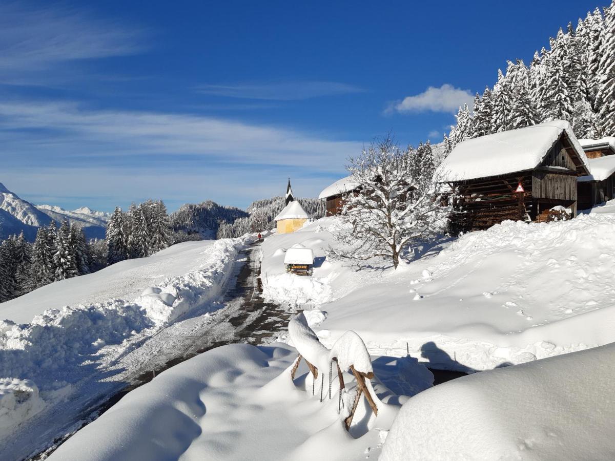 Hauserhof Am Goldberg Dellach  Εξωτερικό φωτογραφία