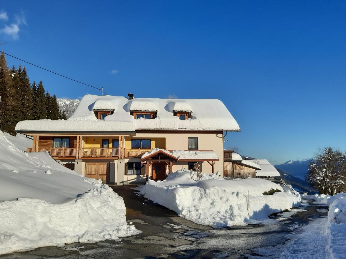 Hauserhof Am Goldberg Dellach  Εξωτερικό φωτογραφία