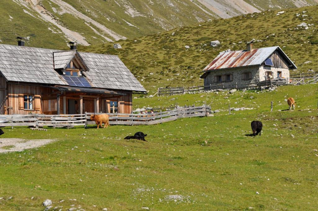 Hauserhof Am Goldberg Dellach  Εξωτερικό φωτογραφία