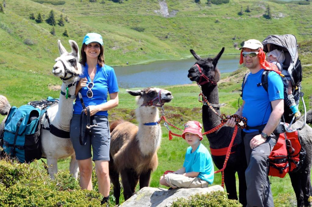Hauserhof Am Goldberg Dellach  Εξωτερικό φωτογραφία